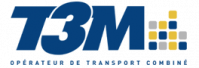 T3M